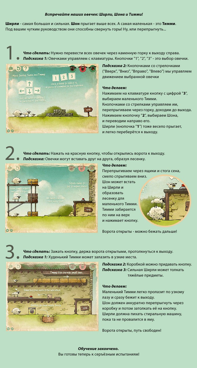 Овечки, пора домой!: фото 3080315