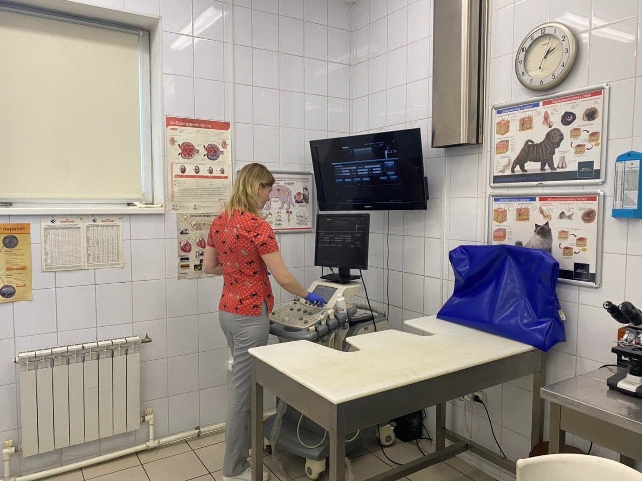 Ветеринар в Люберцах