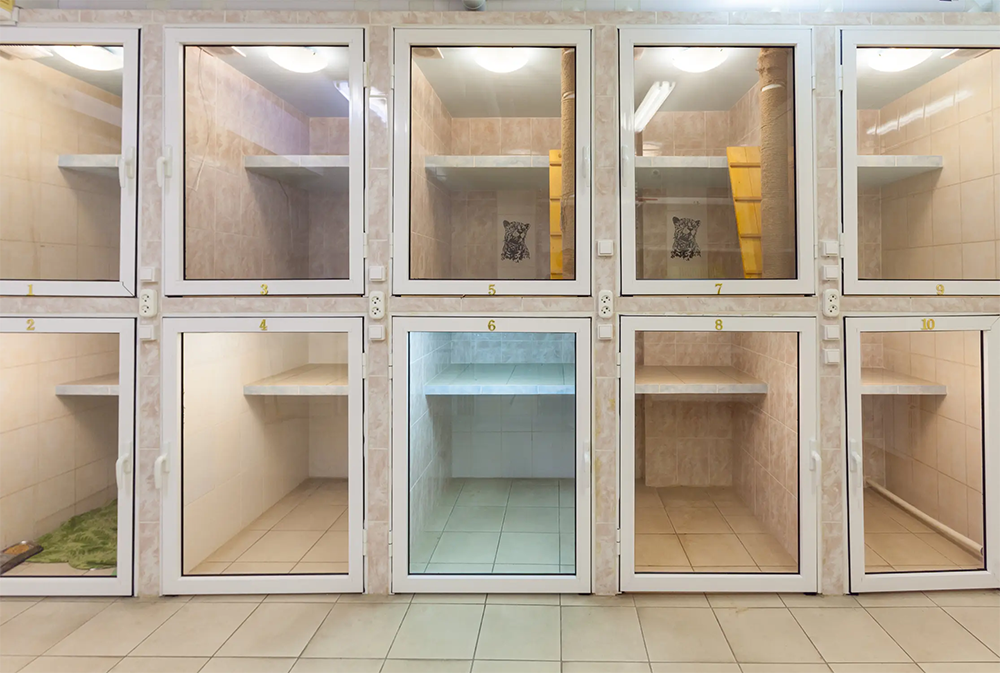 ��������� ��� �������� � ��������