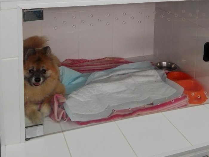 ���������� � ��������