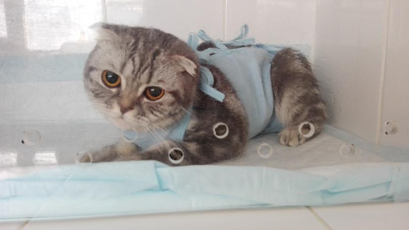 ������� ���������� � ��������