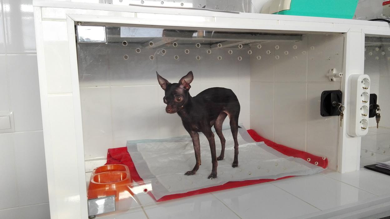 ���������� �������� � ��������