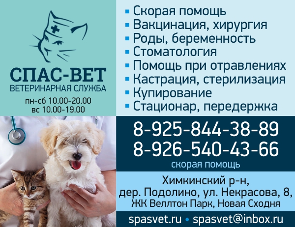 ����-���, ��������� � ������